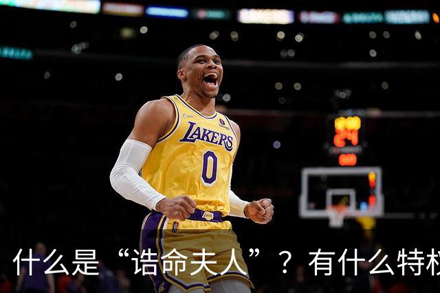 什么是“诰命夫人”?有什么特权和好处