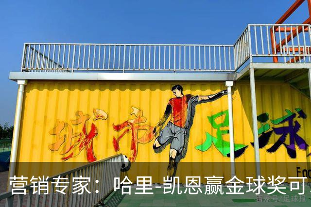 营销专家：哈里-凯恩赢金球奖可以挽救英国足球的声誉